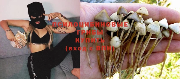 винт Балахна