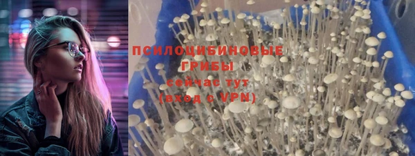 дмт Балабаново