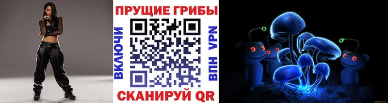 дарнет шоп  Райчихинск  Псилоцибиновые грибы Magic Shrooms 