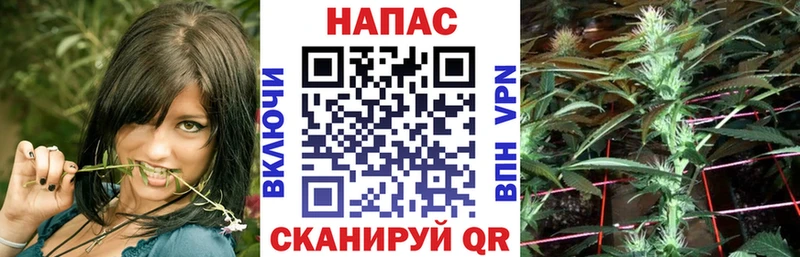 Канабис SATIVA & INDICA  Райчихинск 